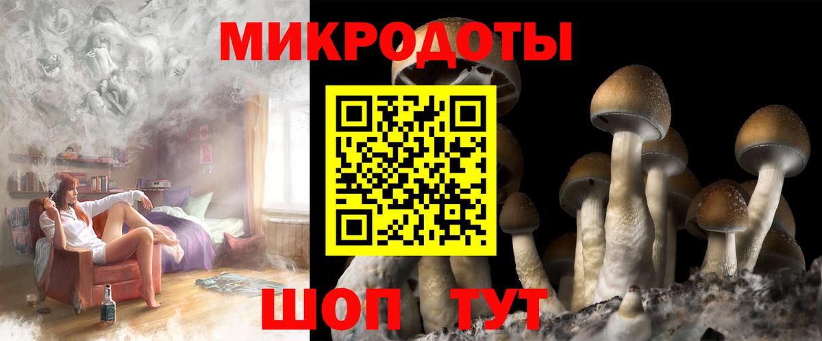 Кирово-Чепецк  Галлюциногенные грибы ЛСД  Вход с VPN 